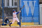 Baseball vs Brandeis  Wheaton College Baseball vs Brandeis University. - Photo By: KEITH NORDSTROM : Wheaton, Baseball